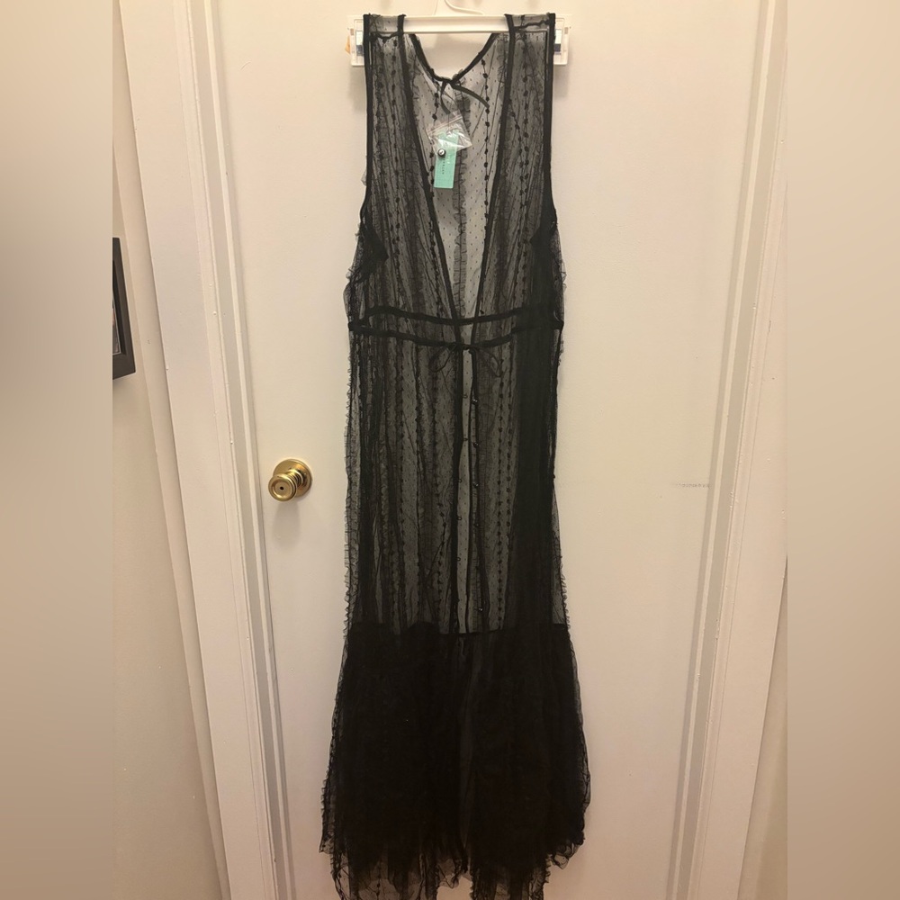 Sheer Black Maxi Dress